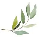 Artdomsv-Kemerovo.ru Favicon