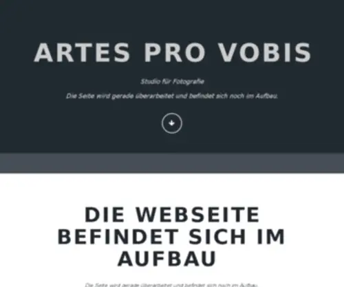 Artes-Pro-Vobis.de(ARTES PRO VOBIS) Screenshot