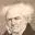 Arthur-Schopenhauer-Studienkreis.de Favicon