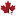 Articlestudio.ca Favicon