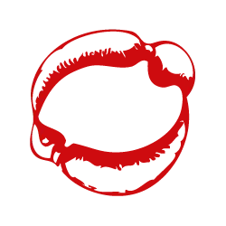 Artiegrafica.it Favicon