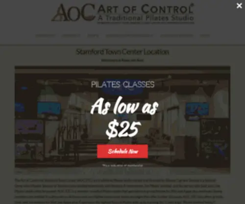 Artofcontrol.com(The Art of Control (AOC)) Screenshot