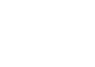 Arya.ro Logo