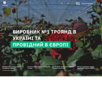 Ascania-Flora.ua(Тепличний комплекс троянд «Асканія) Screenshot