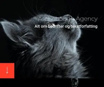 Aschehougagency.no(Alt om bedrifter og tekstforfatting) Screenshot