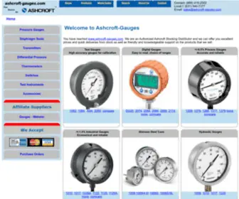 Ashcroft-Gauges.com(Your source for Ashcroft Gauges) Screenshot
