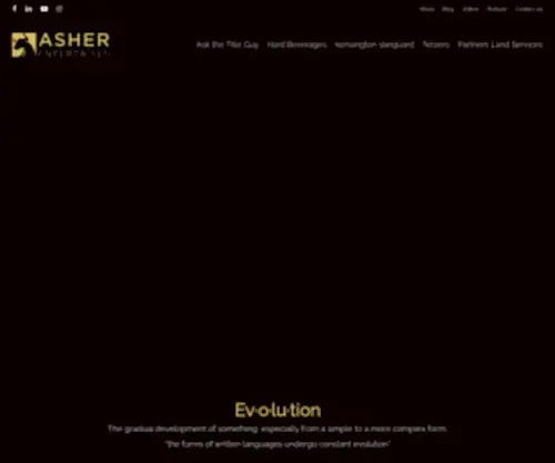 Asherenterprises.com(Asher Enterprises) Screenshot