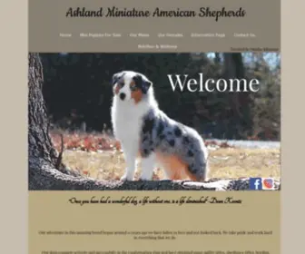 Ashlandaussies.com(Ashland Miniature American Shepherds) Screenshot