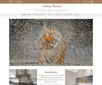 Ashley-Vincent.com(Ashley Vincent) Screenshot