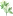 Ashleyheppermann.com Favicon
