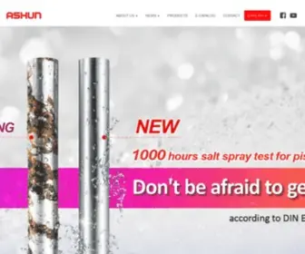 Ashun.com(Hydraulic Cylinder Manufacturers) Screenshot
