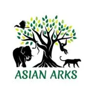 Asianarks.org Favicon