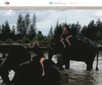 Asiandivers.pl(Wycieczki i nurkowania z polskim przewodnikiem Phuket) Screenshot