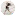 Asimagery.org Favicon