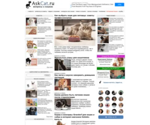 Askcat.ru(кошка) Screenshot