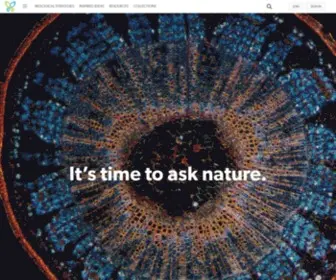 Asknature.org(Innovation Inspired by Nature) Screenshot