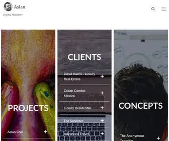 Aslanamini.com(Digital Marketer) Screenshot