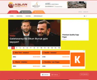 Aslanarenasi.com(Aslan Arenası) Screenshot