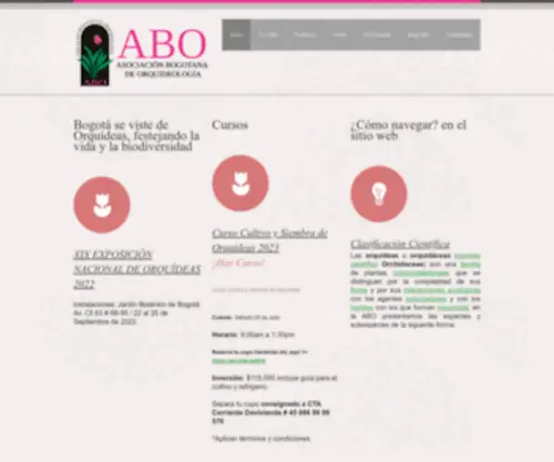 Asoabo.com(Asoabo) Screenshot