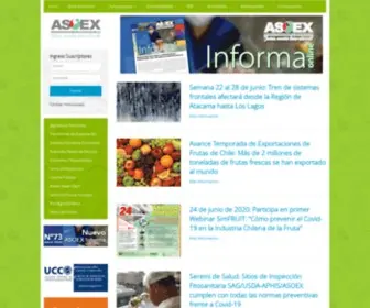 Asoex.cl(Inicio) Screenshot