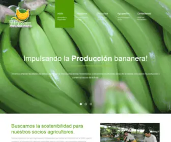 Asonuevaesperanza.com(Asociación de Productores Nueva Esperanza) Screenshot