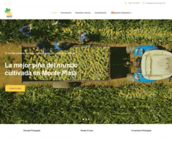 Asopropimopla.org(Asociación de Productores de Piñas de Monte Plata) Screenshot