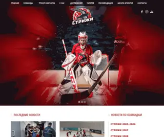 Aspanhockey.kz(ХК «Стрижи») Screenshot