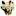 Aspiritualparadigm.com Favicon