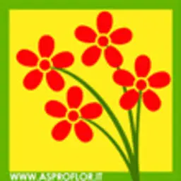 Asproflor.it Favicon