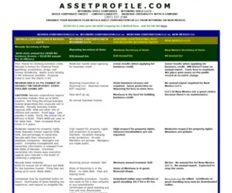Assetprofile.com(Shelf corporations and shelf llc to build corporate credit) Screenshot
