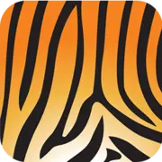 Assettiger.com Favicon