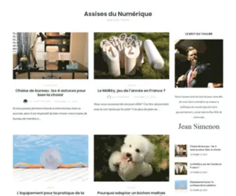 Assisesmednum.fr(Assises du Numérique) Screenshot