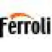 Assistencia-Caldeira-Ferroli.pt Favicon