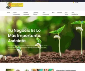 AssoCDietherb.com(Asociación profesional de herbolarios. Cursos de terapias naturales) Screenshot