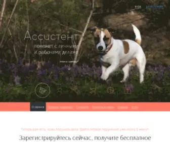 ASST24.ru(Ассистент) Screenshot