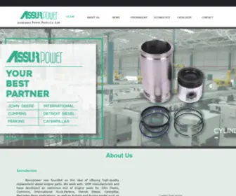 Assurpower.com(ASSURANCE POWER PARTS CO) Screenshot