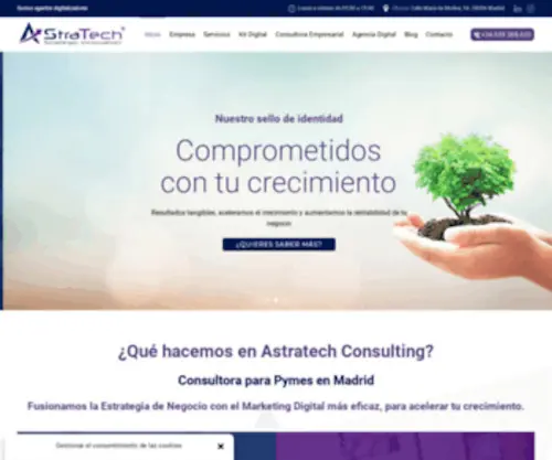 Astratechconsulting.com(Consultora para Pymes en Madrid) Screenshot