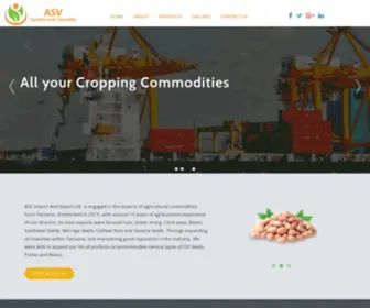 Asvimpex.co.tz(ASV Imports and Exports) Screenshot