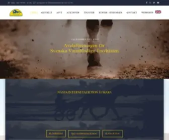 ASVT.se(HEM) Screenshot