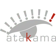 Atakamasl.com Favicon