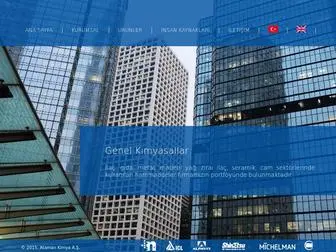 Atamankimya.com(Ataman Kimya) Screenshot