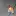 Ataque.org Favicon