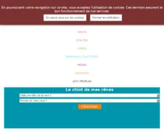 Atara.com(Chiens de France) Screenshot