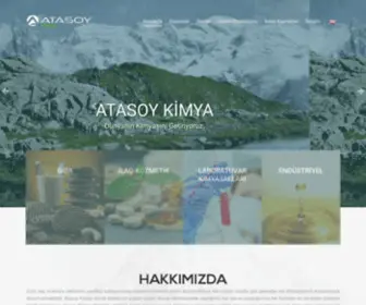 Atasoykimya.com.tr(Atasoy Kimya) Screenshot