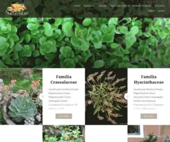 Atelierdassuculentas.com.br(Atelierdassuculentas) Screenshot