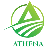 Athenalogistics.com.vn Logo