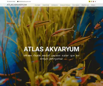 Atlasakvaryum.com(Atlas Akvaryum) Screenshot