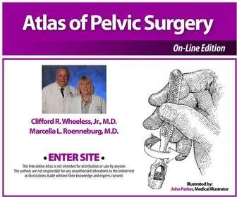 Atlasofpelvicsurgery.com(Atlas of Pelvic Surgery) Screenshot