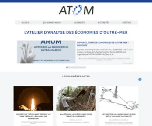 Atom-ECO.fr(Analyse économique) Screenshot