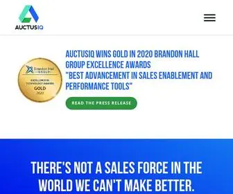 Auctusiq.com(A sales strategy for business growth) Screenshot